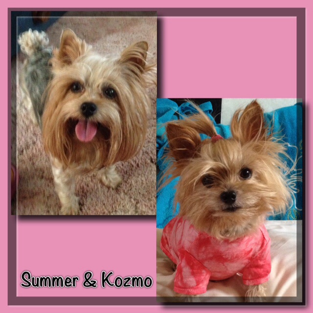 Summer & Kozmo